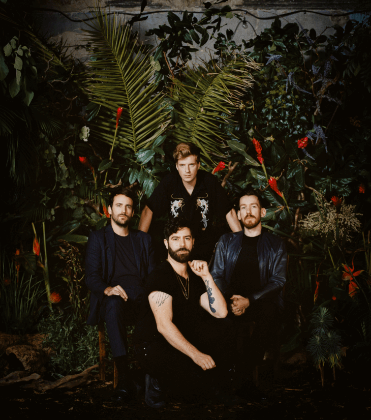 Foals